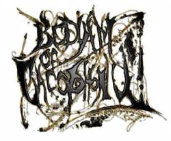 Bedlam Of Cacophony : Demo